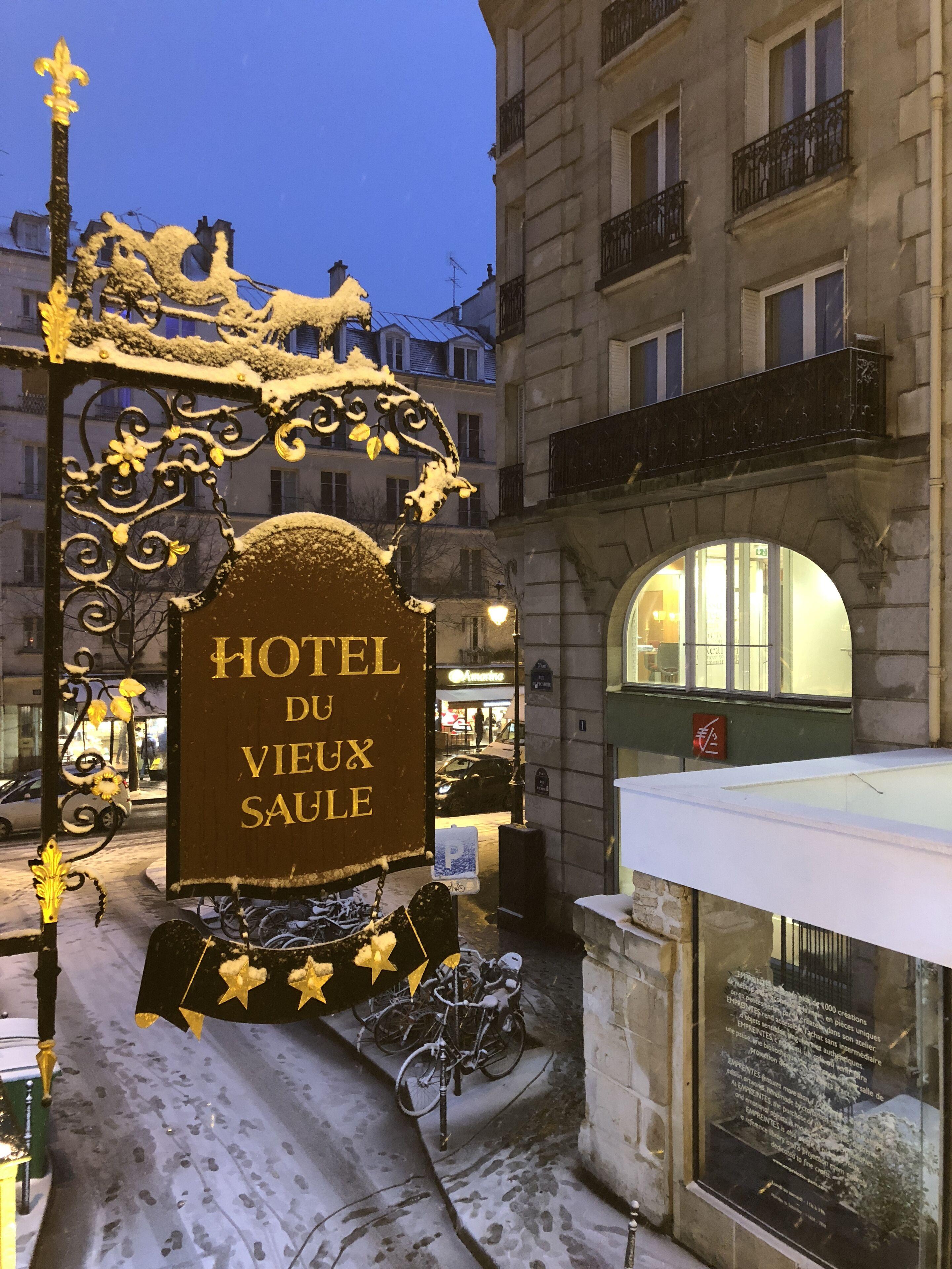 Du Vieux Saule